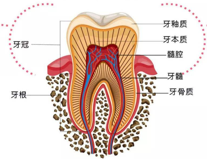 深圳维港口腔连锁