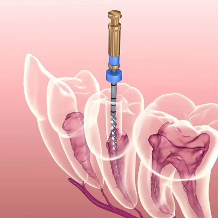 深圳维港口腔连锁