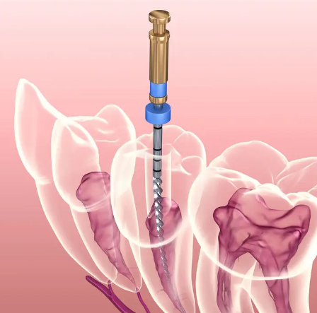 深圳维港口腔连锁