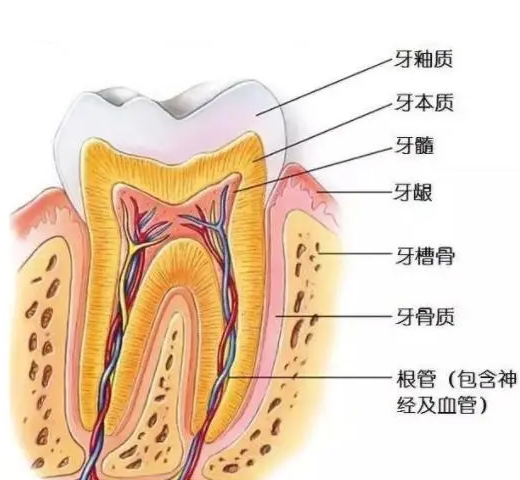 深圳维港口腔连锁